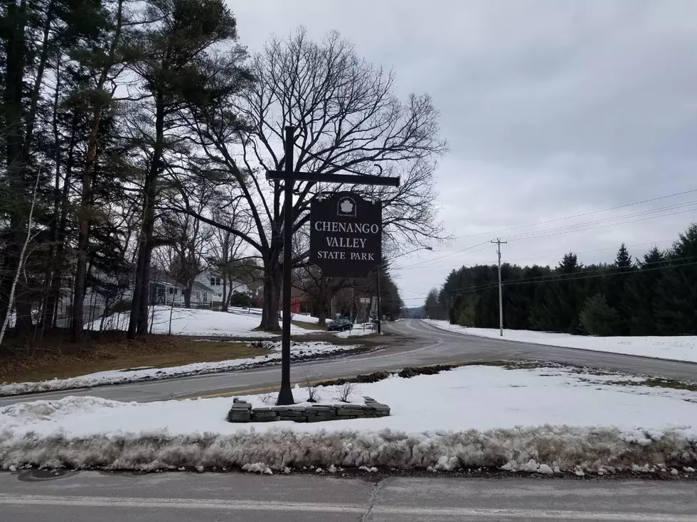 New York State Parks Enjoy Continued Rise in Popularity