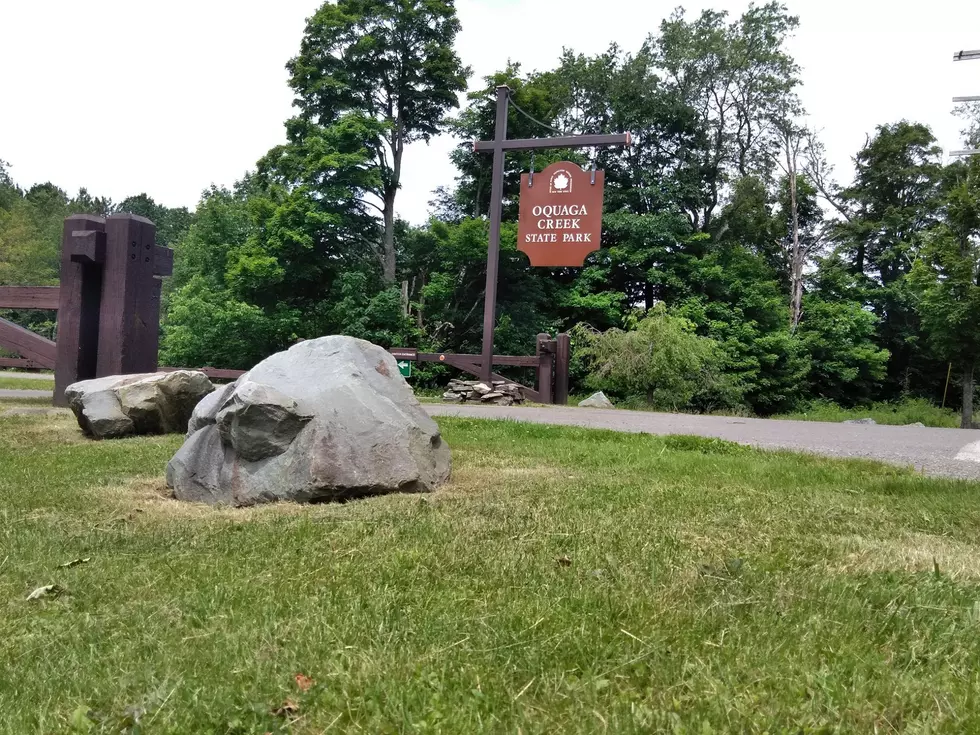 These 12 Upstate NY Parks Say, “Come Visit Us This Summer!”