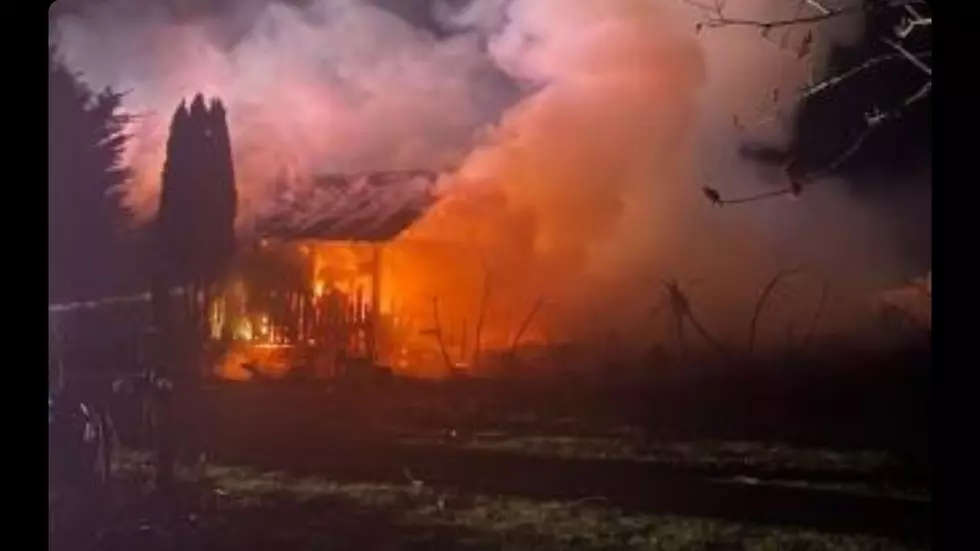 Massive Barn Fire in Upstate NY Leaves Dozens of Animals Dead